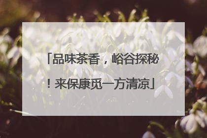 品味茶香，峪谷探秘！来保康觅一方清凉