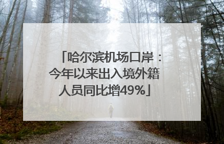 哈尔滨机场口岸：今年以来出入境外籍人员同比增49%