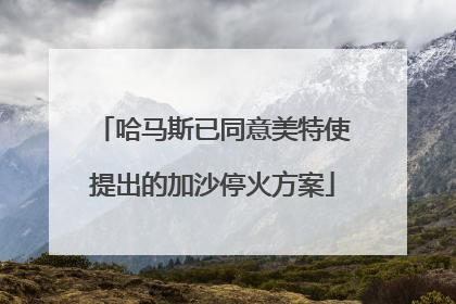 哈马斯已同意美特使提出的加沙停火方案