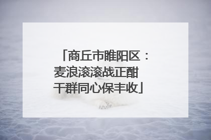 商丘市睢阳区：麦浪滚滚战正酣 干群同心保丰收