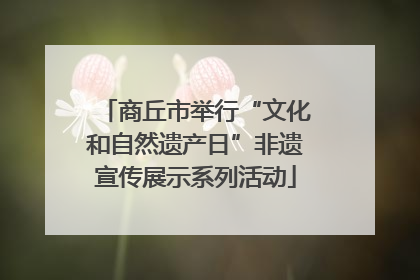 商丘市举行“文化和自然遗产日”非遗宣传展示系列活动