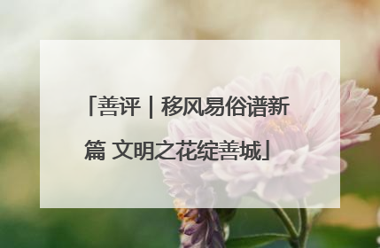 善评｜移风易俗谱新篇 文明之花绽善城