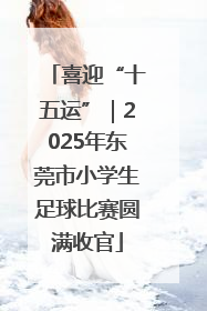 喜迎“十五运”｜2025年东莞市小学生足球比赛圆满收官