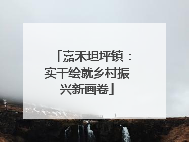 嘉禾坦坪镇：实干绘就乡村振兴新画卷