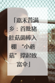嘉禾普满乡：首批猪肚菇菌棒入棚 “小蘑菇”撑起致富伞