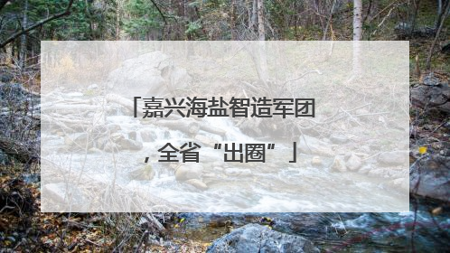 嘉兴海盐智造军团，全省“出圈”
