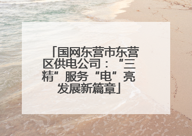 国网东营市东营区供电公司：“三精”服务“电”亮发展新篇章