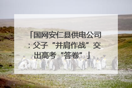 国网安仁县供电公司：父子“并肩作战”交出高考“答卷”