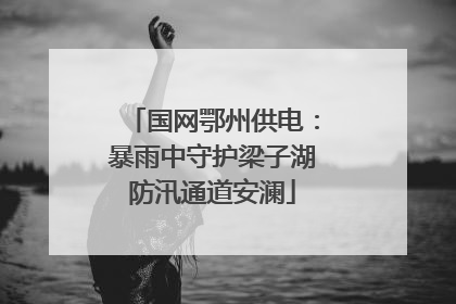 国网鄂州供电：暴雨中守护梁子湖防汛通道安澜