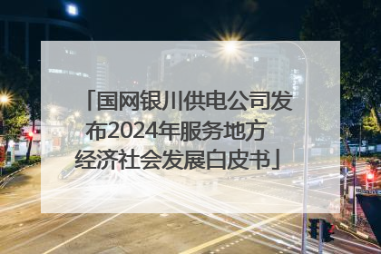 国网银川供电公司发布2024年服务地方经济社会发展白皮书