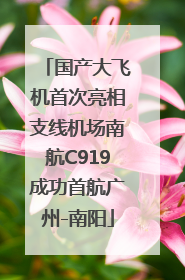 国产大飞机首次亮相支线机场南航C919成功首航广州-南阳