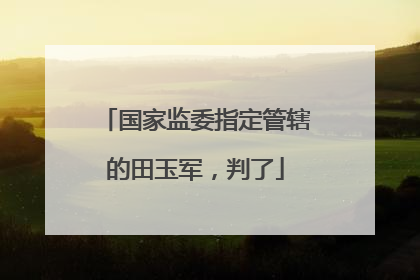 国家监委指定管辖的田玉军，判了