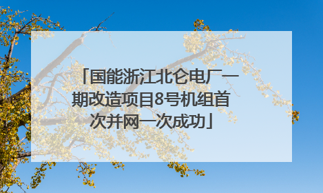 国能浙江北仑电厂一期改造项目8号机组首次并网一次成功