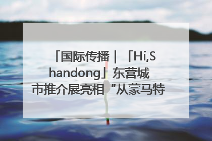 国际传播｜「Hi,Shandong」东营城市推介展亮相“从蒙马特到加里波第”文化节
