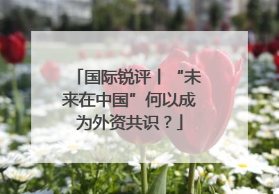 国际锐评丨“未来在中国”何以成为外资共识？