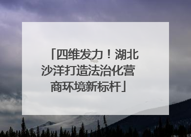 四维发力！湖北沙洋打造法治化营商环境新标杆
