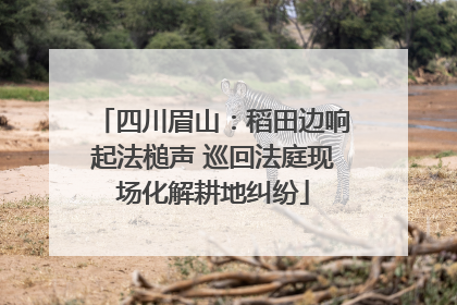 四川眉山：稻田边响起法槌声 巡回法庭现场化解耕地纠纷