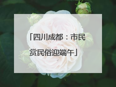 四川成都：市民赏民俗迎端午