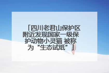 四川老君山保护区附近发现国家一级保护动物小灵猫 被称为“生态试纸”