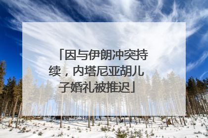 因与伊朗冲突持续，内塔尼亚胡儿子婚礼被推迟