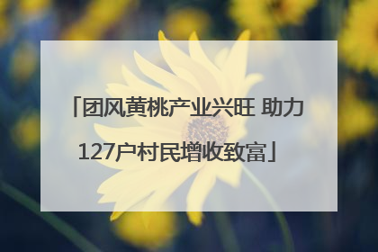团风黄桃产业兴旺 助力127户村民增收致富