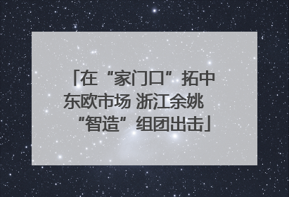 在“家门口”拓中东欧市场 浙江余姚“智造”组团出击
