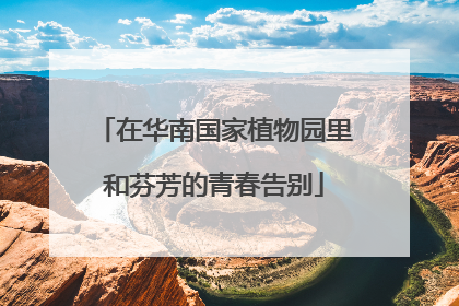 在华南国家植物园里和芬芳的青春告别