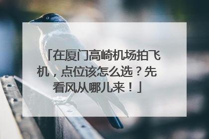 在厦门高崎机场拍飞机，点位该怎么选？先看风从哪儿来！