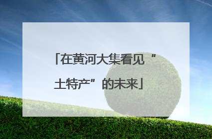 在黄河大集看见“土特产”的未来