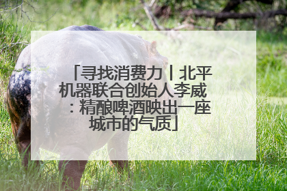 寻找消费力丨北平机器联合创始人李威：精酿啤酒映出一座城市的气质