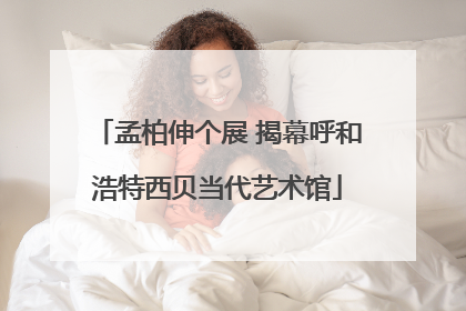 孟柏伸个展 揭幕呼和浩特西贝当代艺术馆