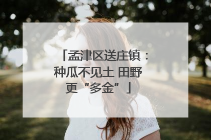 孟津区送庄镇：种瓜不见土 田野更“多金”