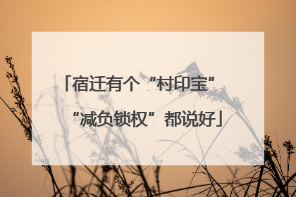 宿迁有个“村印宝” “减负锁权”都说好