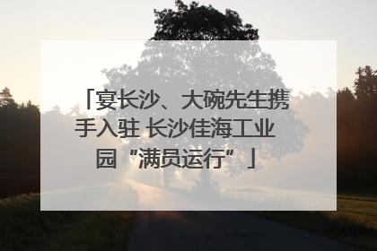 宴长沙、大碗先生携手入驻 长沙佳海工业园“满员运行”