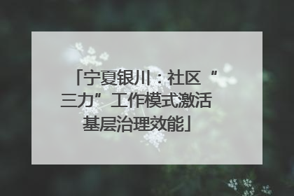 宁夏银川：社区“三力”工作模式激活基层治理效能