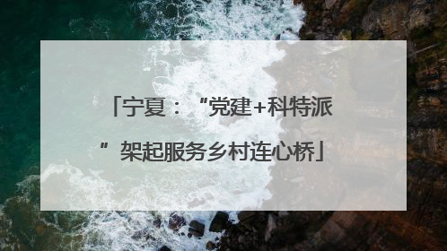 宁夏：“党建+科特派”架起服务乡村连心桥