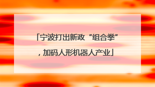 宁波打出新政“组合拳”，加码人形机器人产业
