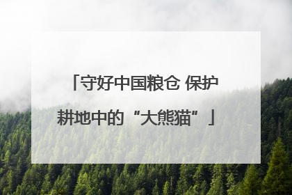 守好中国粮仓 保护耕地中的“大熊猫”