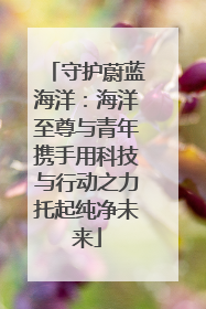 守护蔚蓝海洋：海洋至尊与青年携手用科技与行动之力托起纯净未来