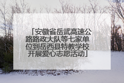 安徽省岳武高速公路路政大队等七家单位到岳西县特教学校开展爱心志愿活动