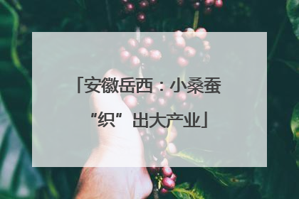 安徽岳西：小桑蚕“织”出大产业