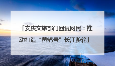 安庆文旅部门回复网民：推动打造“黄鹄号”长江游轮