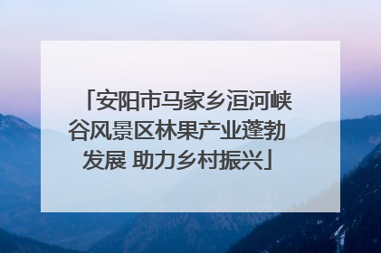 安阳市马家乡洹河峡谷风景区林果产业蓬勃发展 助力乡村振兴