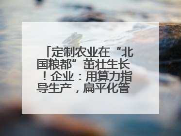 定制农业在“北国粮都”茁壮生长！企业：用算力指导生产，扁平化管理种地