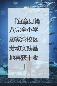 宜章县第八完全小学廖家湾校区劳动实践基地喜获丰收