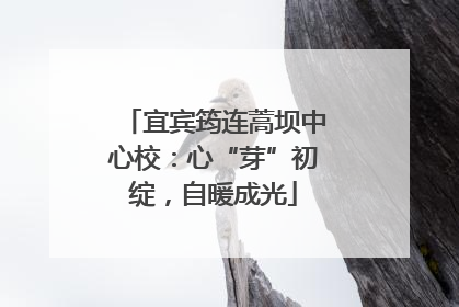宜宾筠连蒿坝中心校：心“芽”初绽，自暖成光