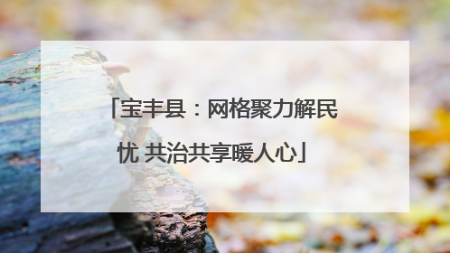 宝丰县：网格聚力解民忧 共治共享暖人心