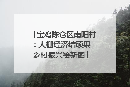 宝鸡陈仓区南阳村：大棚经济结硕果 乡村振兴绘新图
