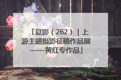 夏影（262）｜上游主题摄影征稿作品展——黄红专作品