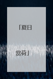 夏日赏荷